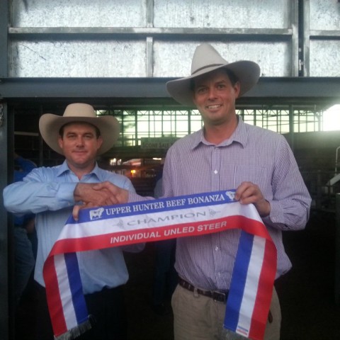 2015 Upper Hunter Beef Bonanza Judge Matt Spry presents Champion Ribbon to Lachlan James