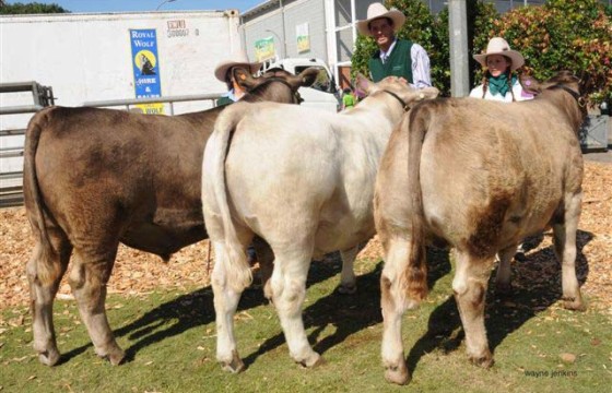 Wallawong Murray Grey Stan Hill Trophy team