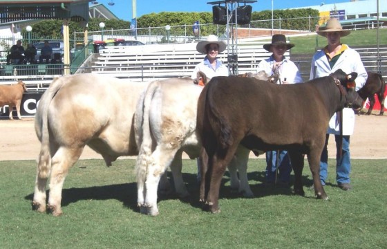 Wallawong Murray Greys Ken McDonald Shield team