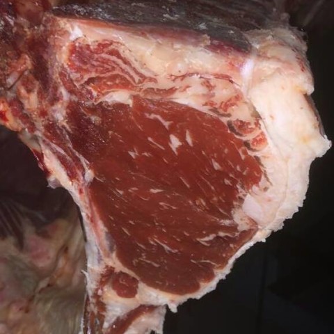 Wingham champion unled carcase